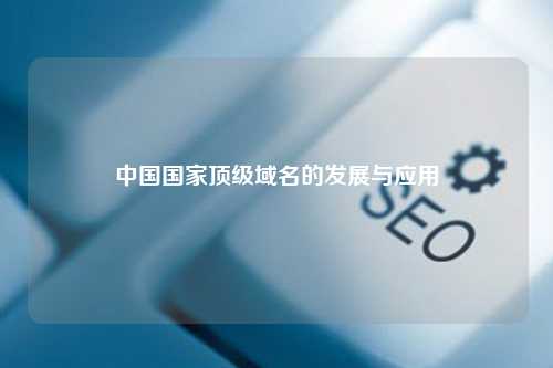 中国国家顶级域名的发展与应用