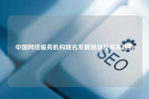 中国网络服务机构域名发展现状及未来趋势