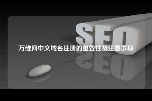 万维网中文域名注册的重要性及注意事项