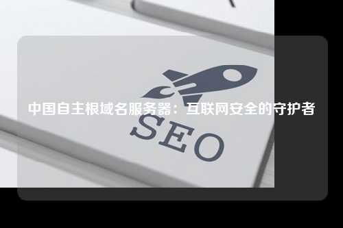 中国自主根域名服务器：互联网安全的守护者