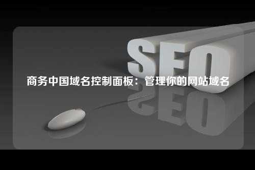 商务中国域名控制面板：管理你的网站域名